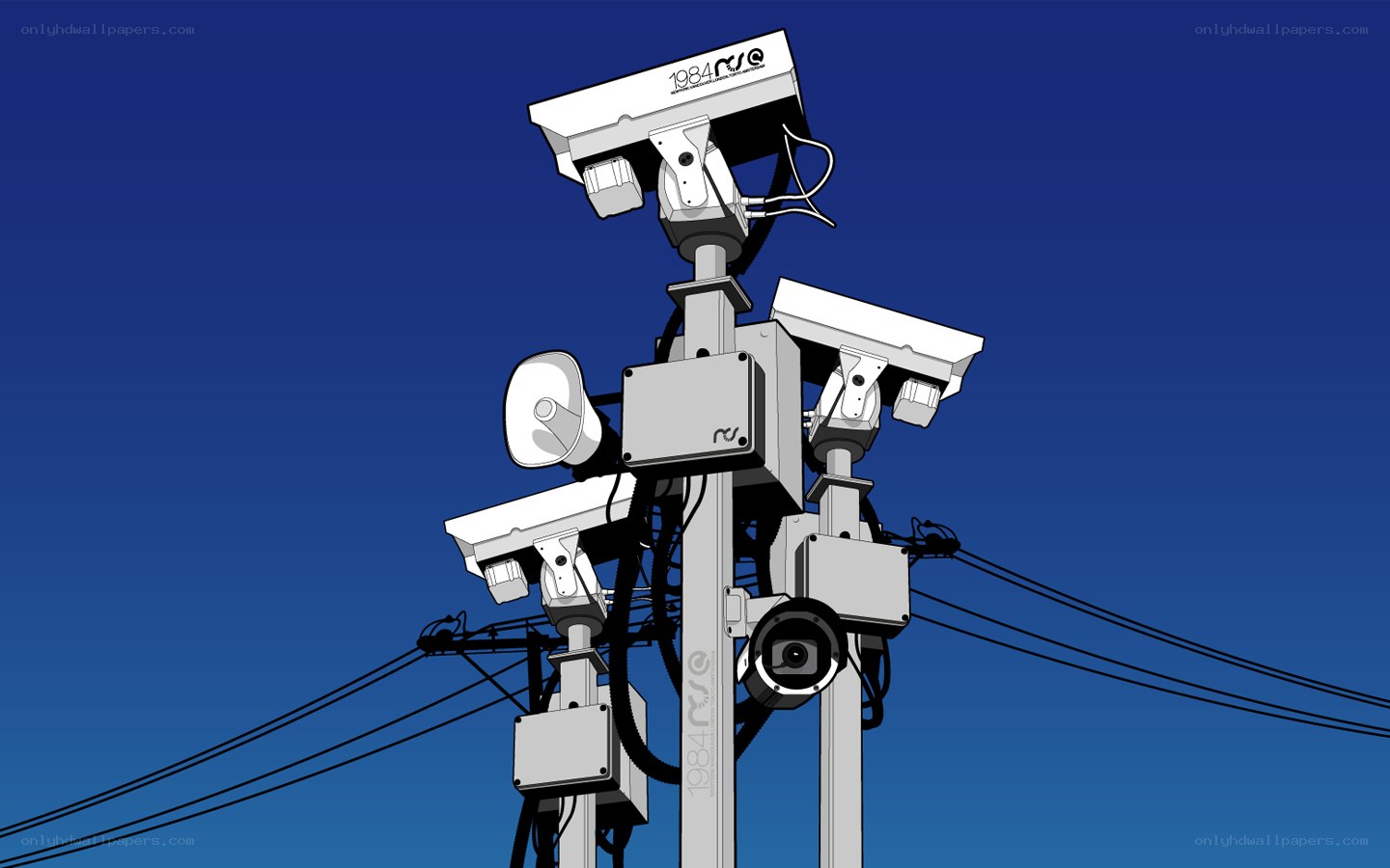 Surveillance cameras on utility pole