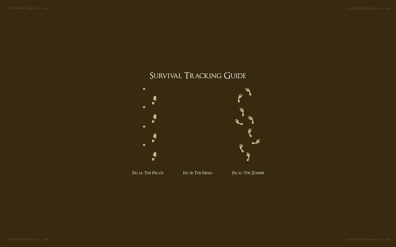 Survival Tracking Guide