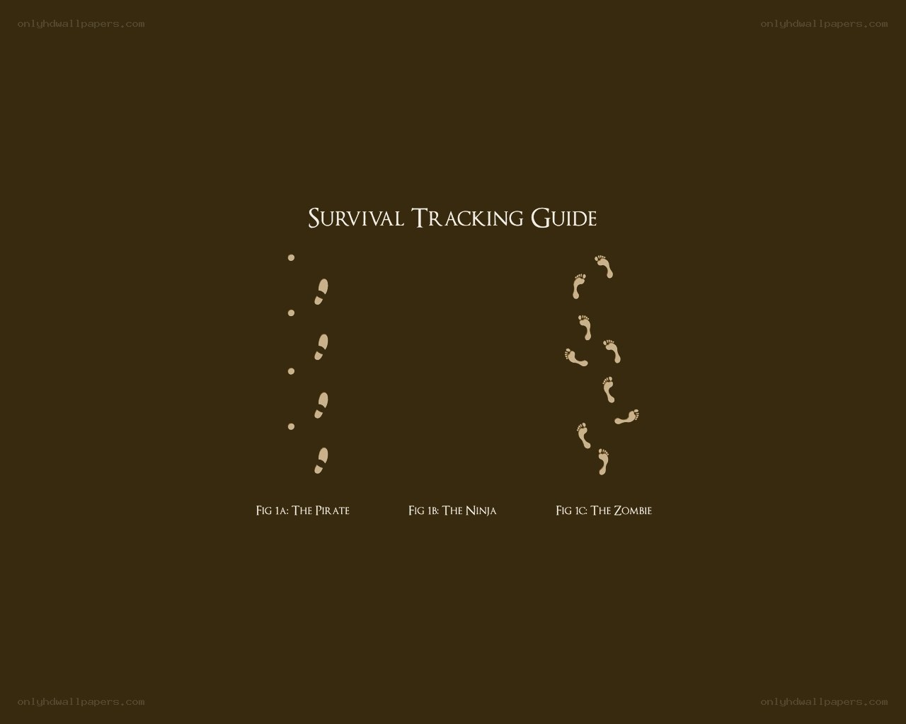 Survival Tracking Guide