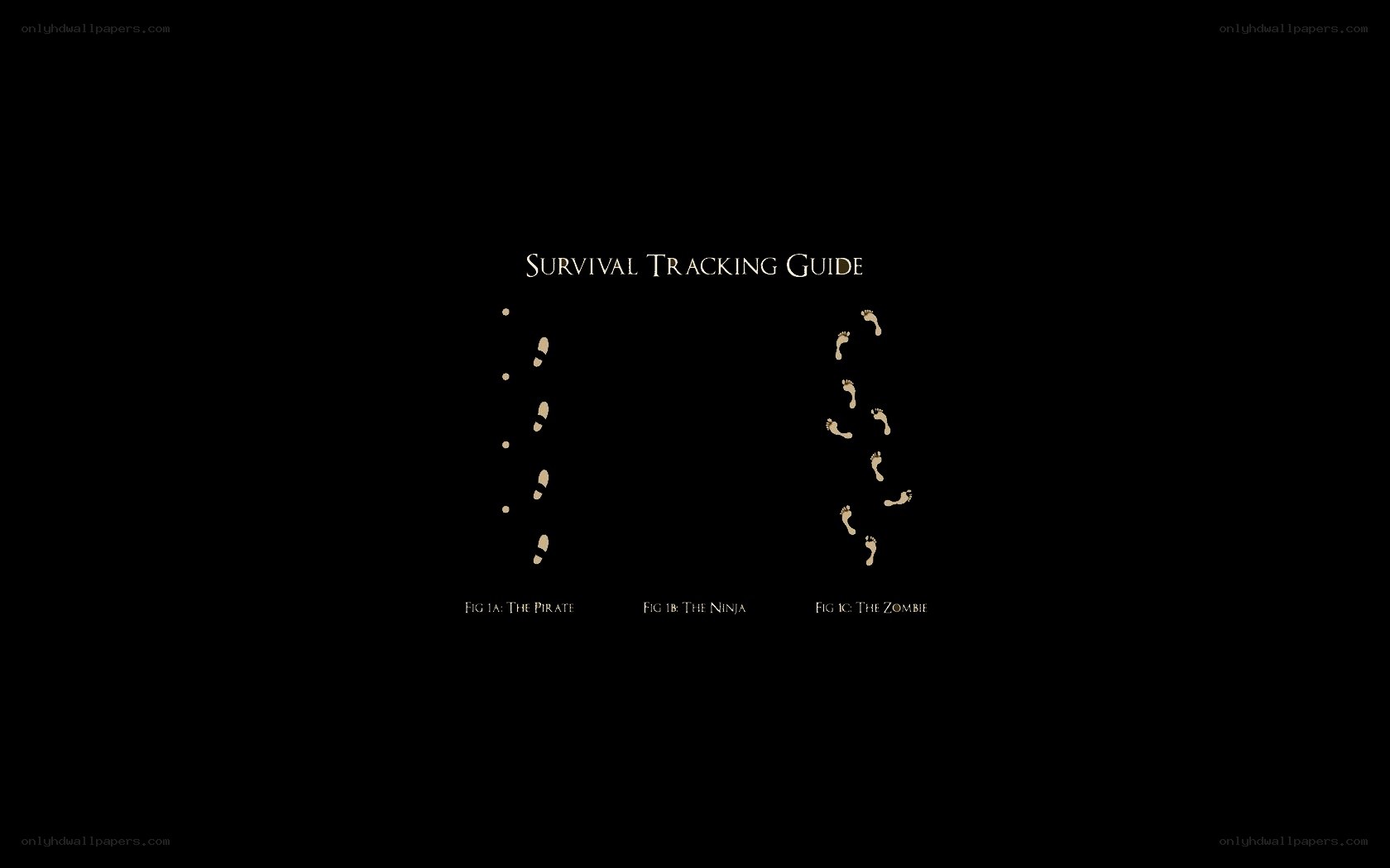 Survival Tracking Guide