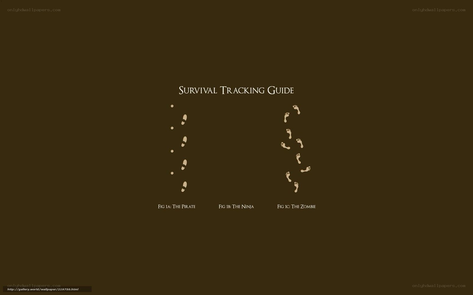 Survival Tracking Guide