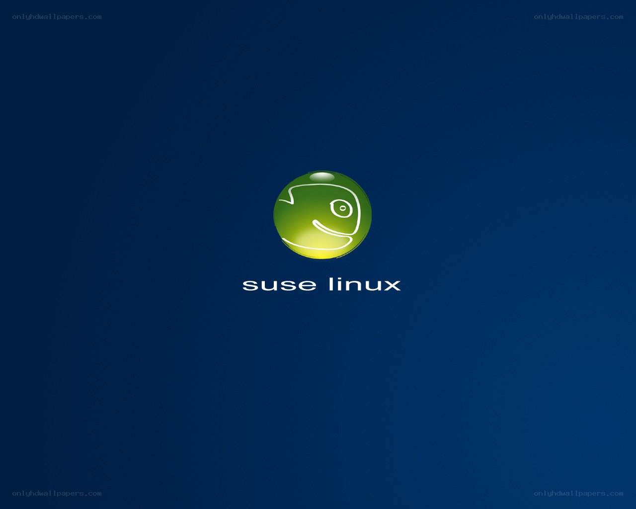 SUSE Linux logo on blue