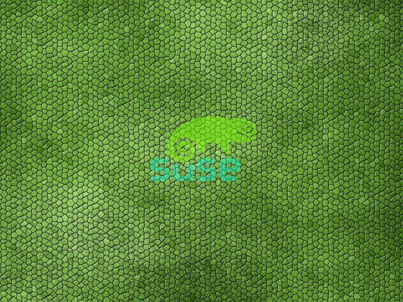 SUSE logo on green texture