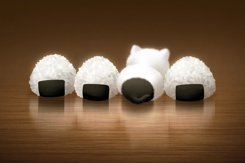 sushi rice balls with cat