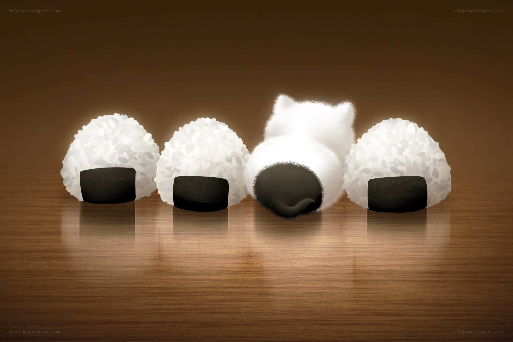 sushi rice balls with cat