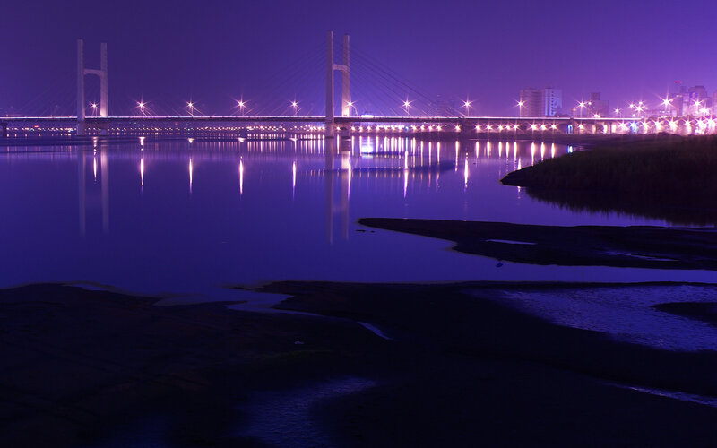 Suspended Cable-stayed Bridge — Purple, Serene
