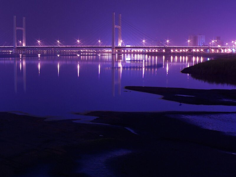 Suspension Bridge at Night — Purple