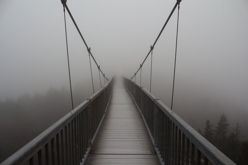 Suspension Bridge in Fog — Gray, Misty, Photograph, Trees