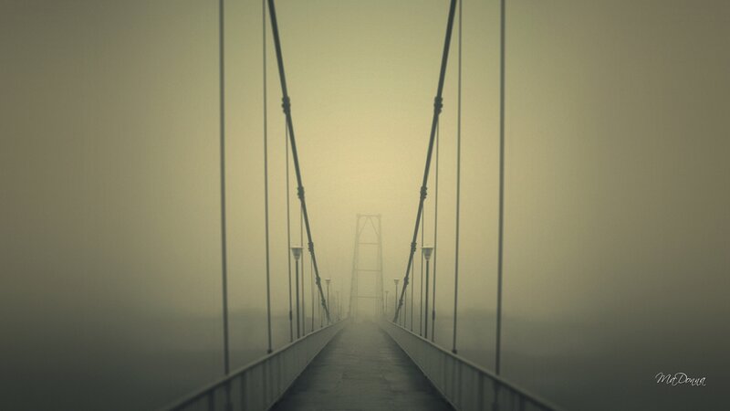 Suspension Bridge in Fog — Gray, Misty