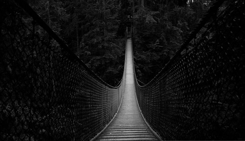 Suspension Bridge in Forest — Black, Dramatic