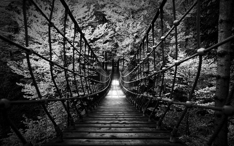 Suspension Bridge in Forest — Black, Serene, Photograph