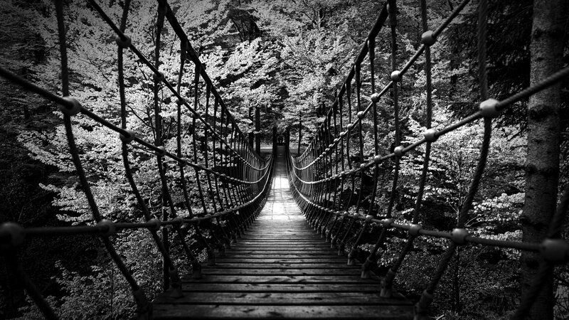 Suspension Bridge in Forest — Black, Serene
