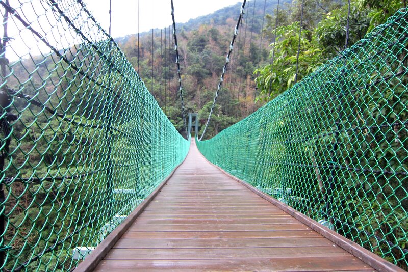 Suspension Bridge in Forest — Brown