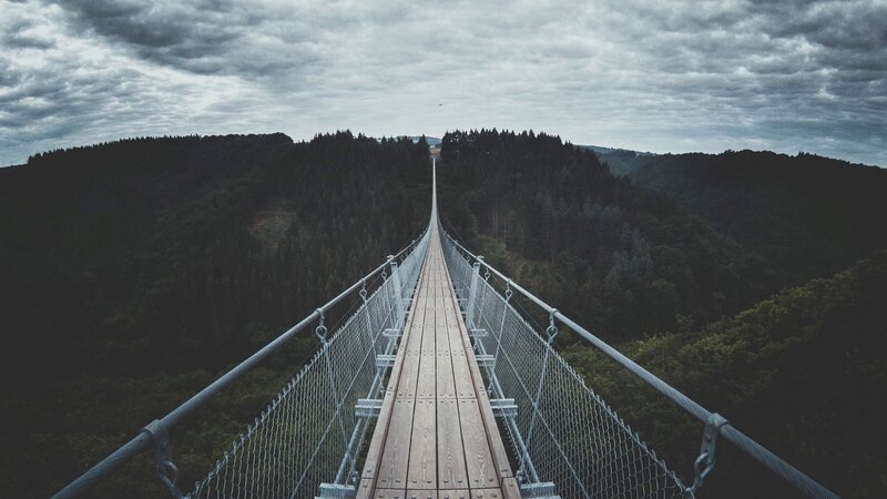 Suspension Bridge in Forest — Gray