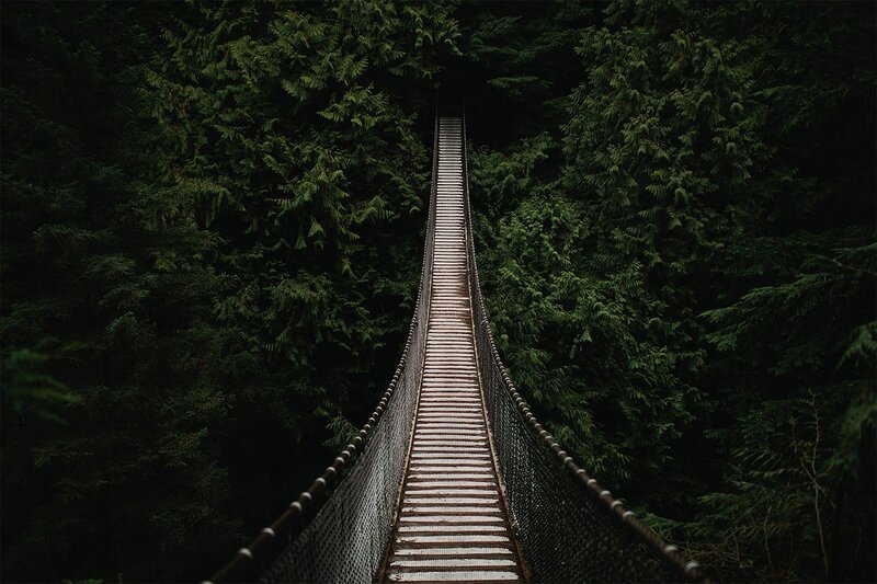 Suspension Bridge in Forest — Green, Dark