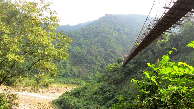 Suspension Bridge in Forest — Green, Serene, Afternoon, Photograph, Mountain, River