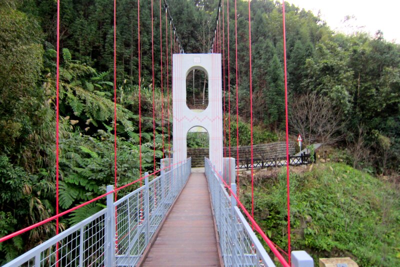 Suspension Bridge in Forest — Green, Serene, Afternoon, Photograph, Trees