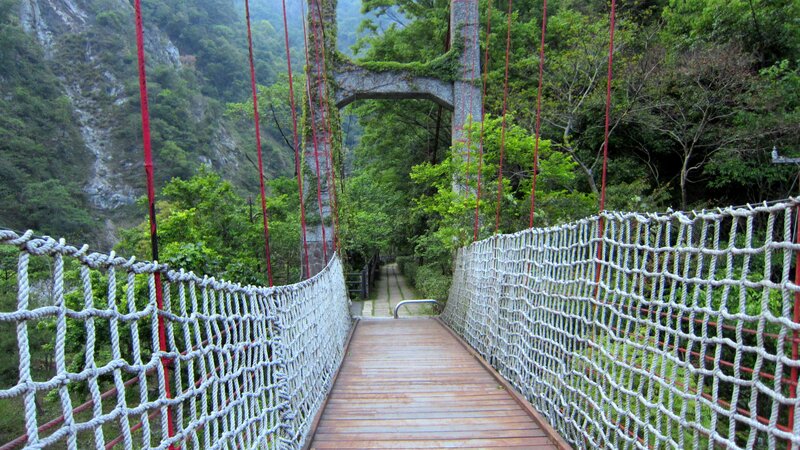 Suspension Bridge in Forest — Green, Serene, Afternoon