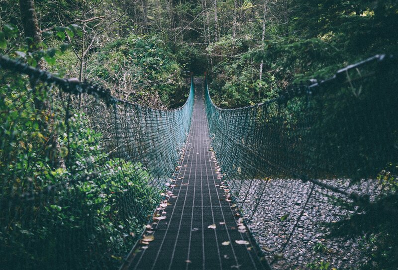 Suspension Bridge in Forest — Green, Serene, Autumn