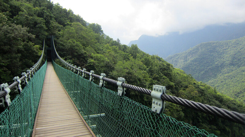 Suspension Bridge in Forest — Green, Serene, Morning