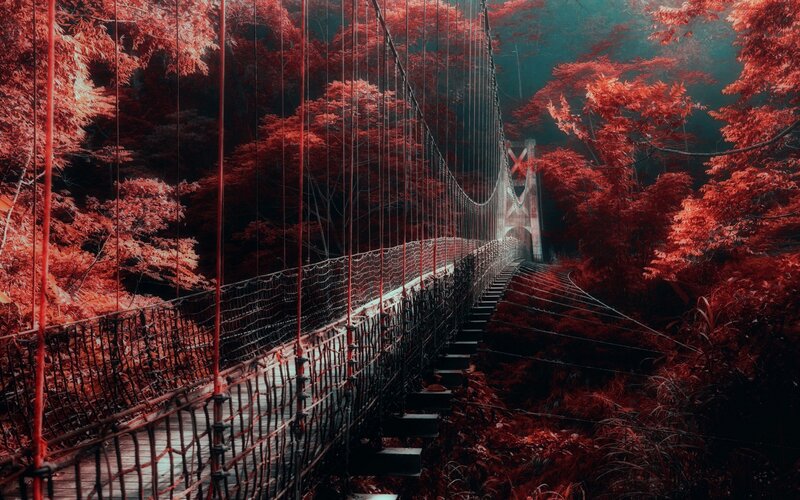 Suspension Bridge in Forest — Red, Dramatic, Autumn