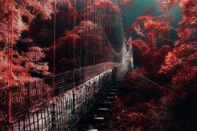 Suspension Bridge in Forest — Red, Dramatic