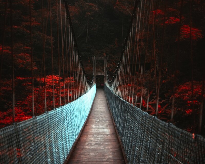 Suspension Bridge in Forest — Red