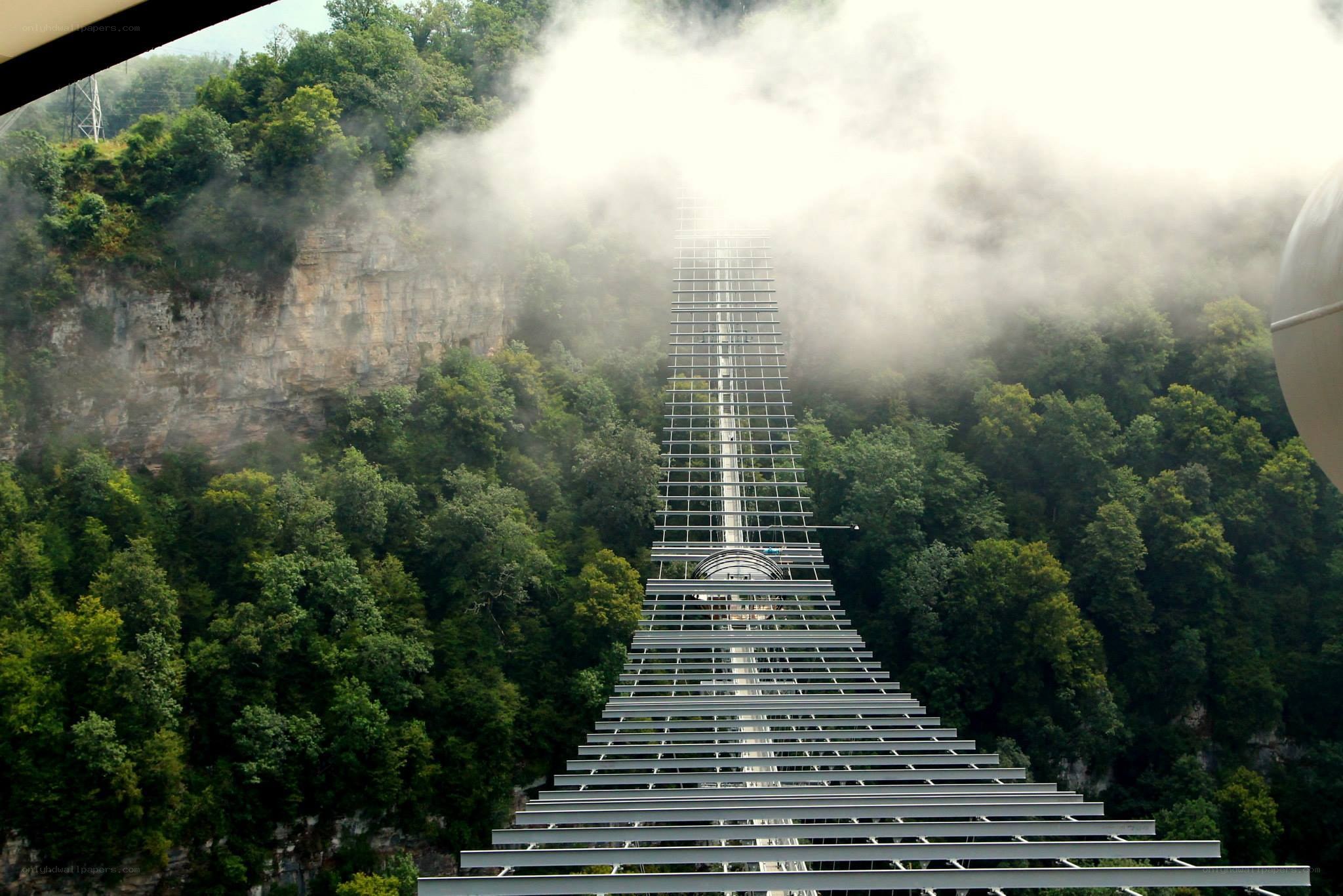 Suspension bridge in misty forest
