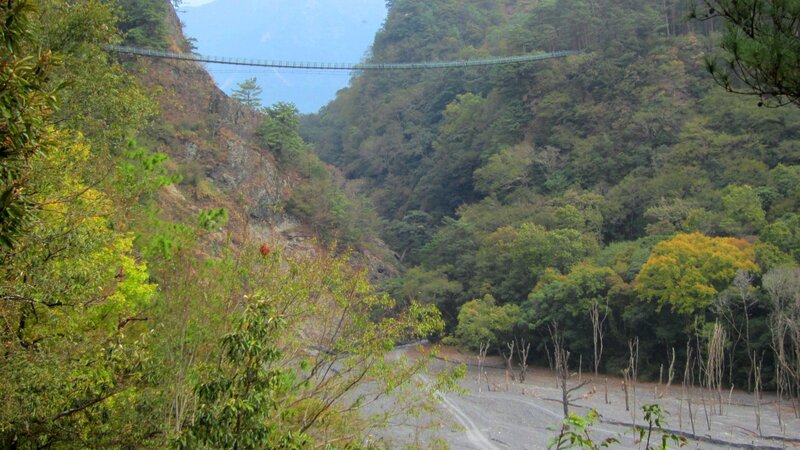 Suspension Bridge in Valley — Green
