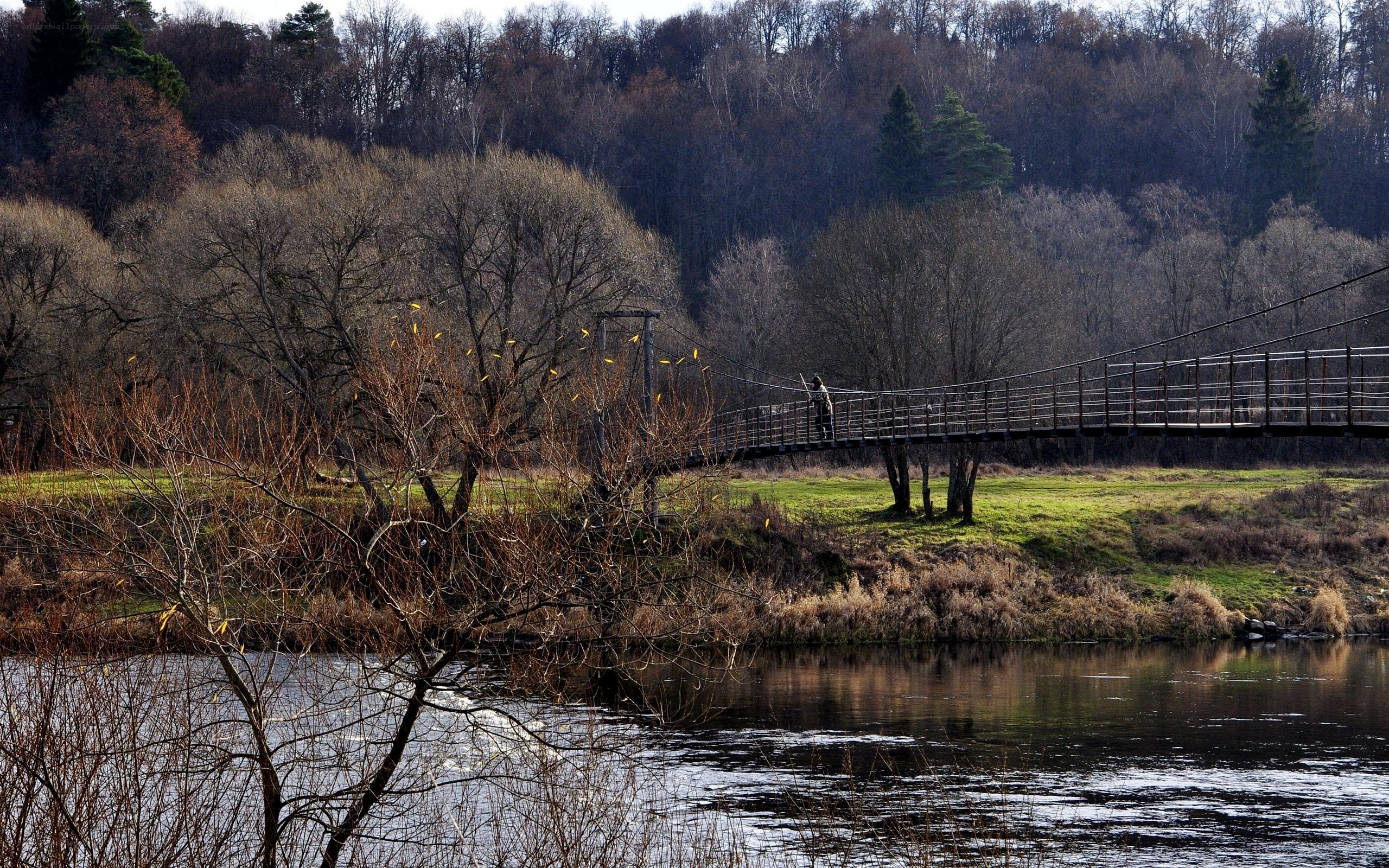 Suspension bridge over a river