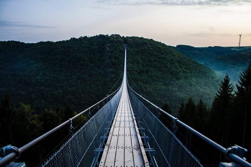 Suspension bridge over forest valley