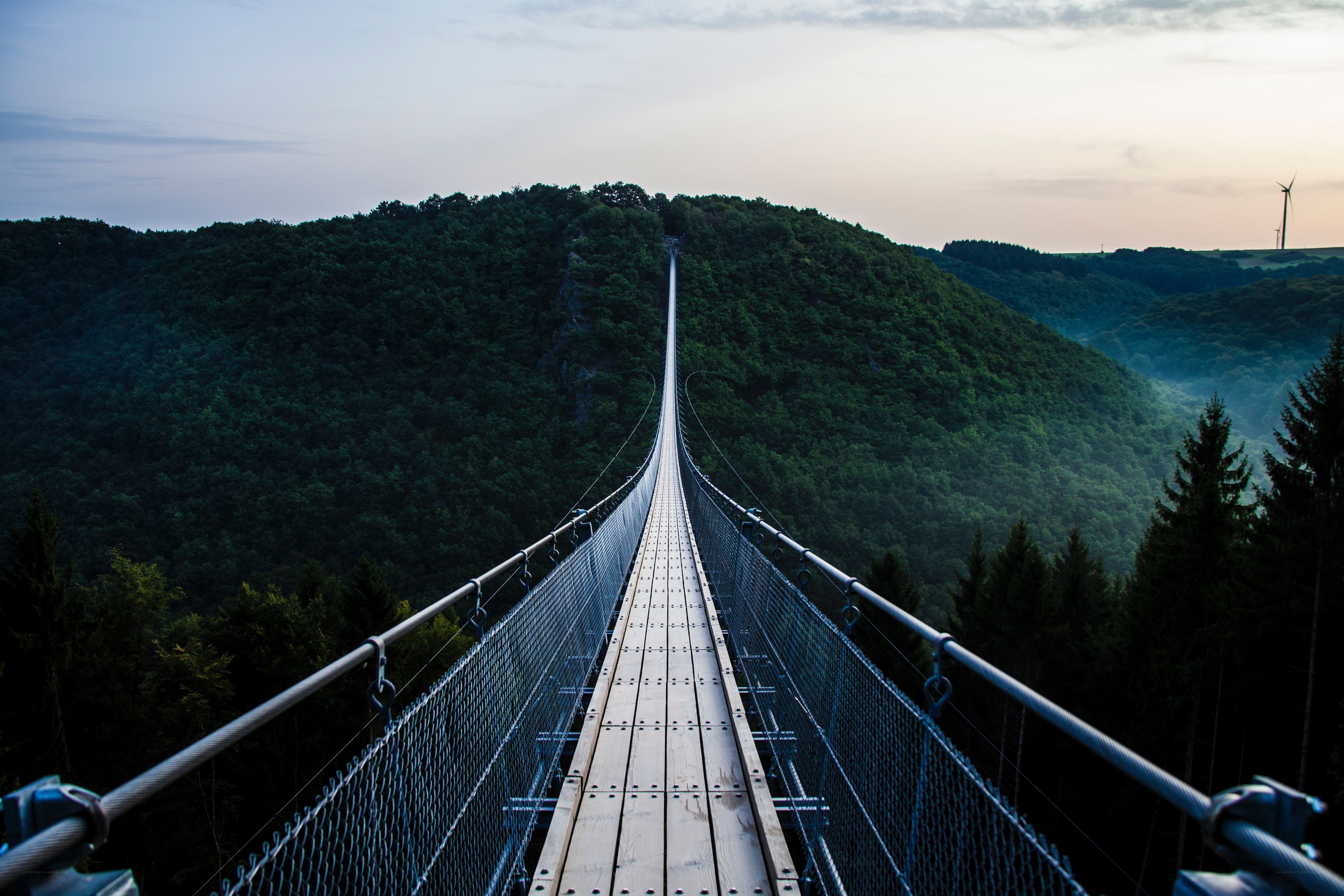 Suspension bridge over forest valley
