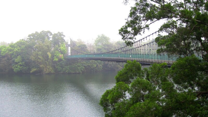 Suspension Bridge over River — Green, Calm, Morning