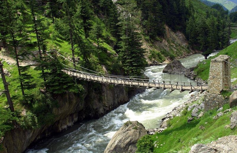 Suspension Bridge over River — Green, Natural, Afternoon