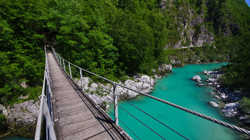 Suspension Bridge over River — Green, Serene, Afternoon, Photograph, Forest