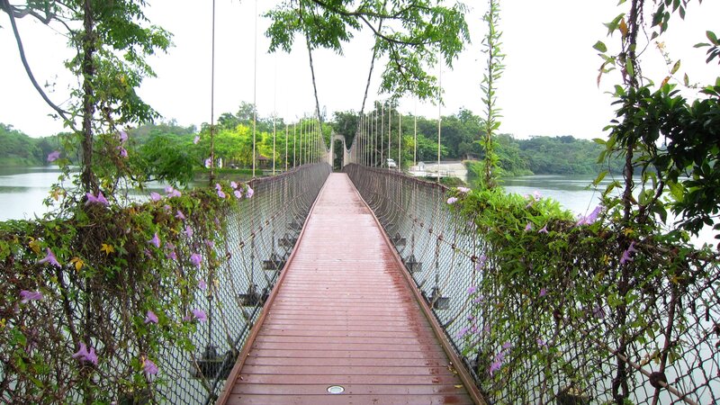 Suspension Bridge over River — Green, Serene, Morning