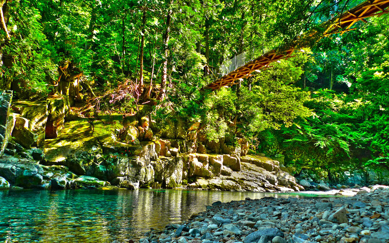 Suspension Bridge over River — Green, Serene