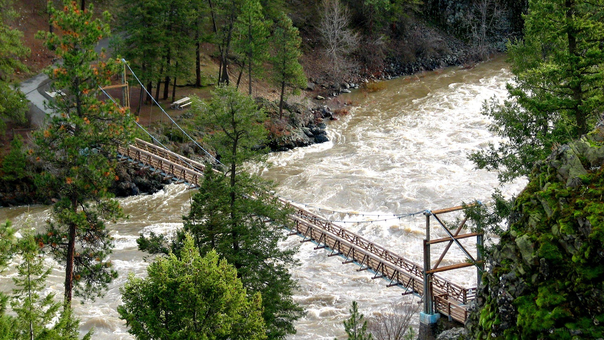 Suspension bridge over rushing river