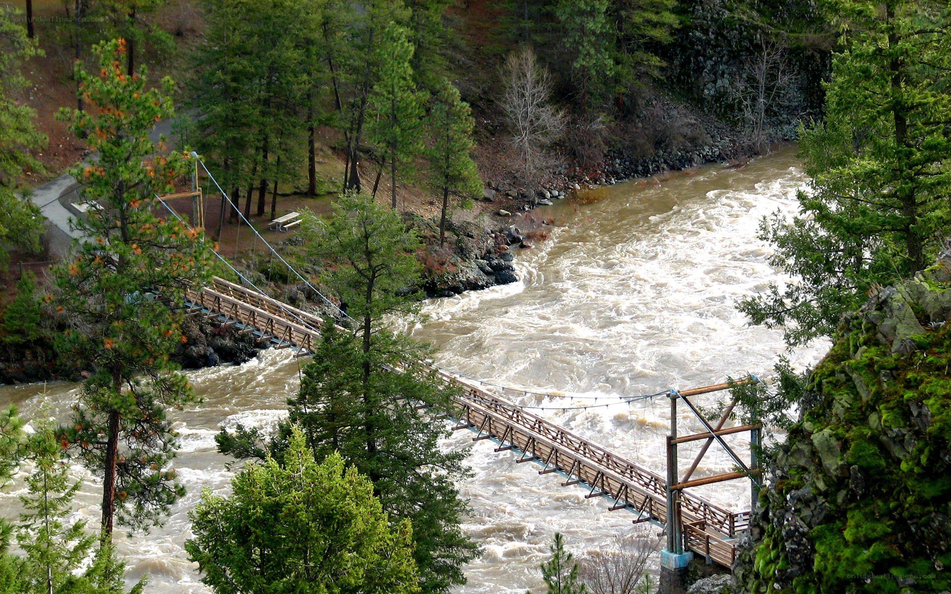 Suspension bridge over rushing river
