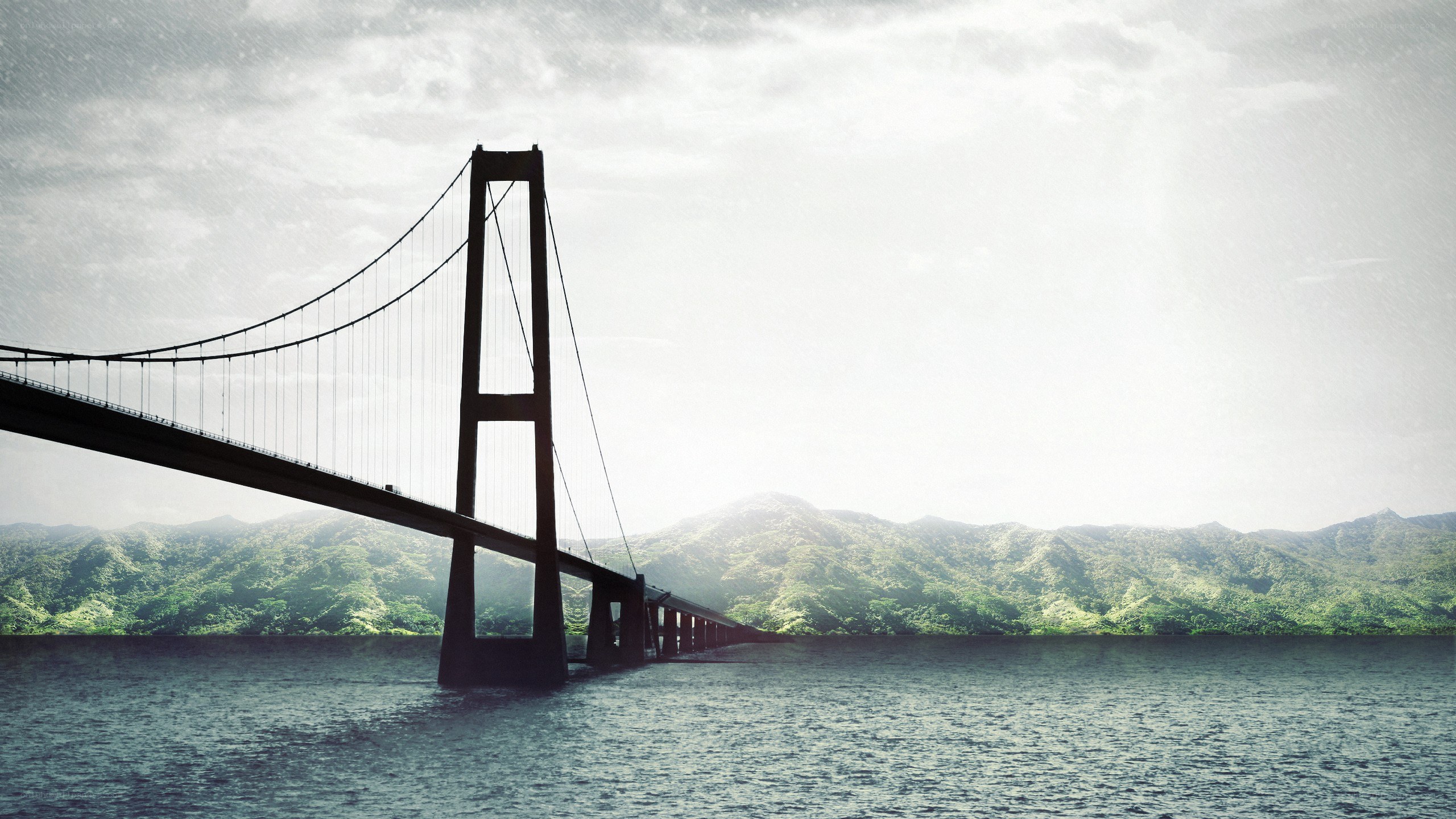 suspension bridge over water