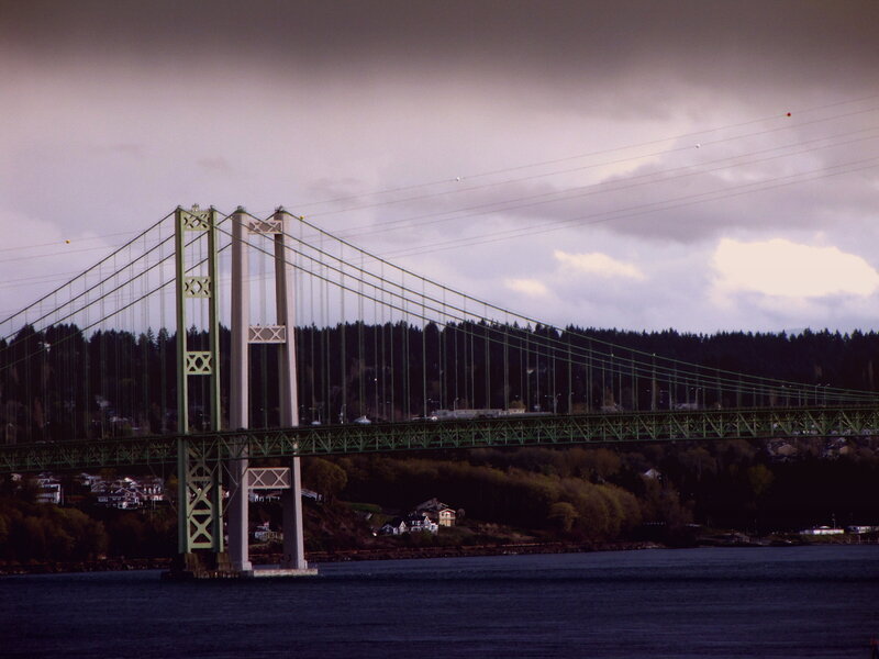 suspension bridge over water