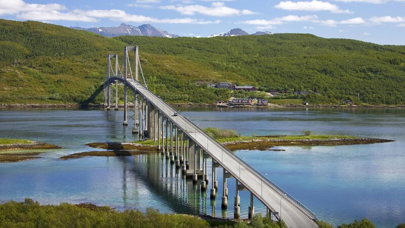 Suspension Bridge over Water — Green
