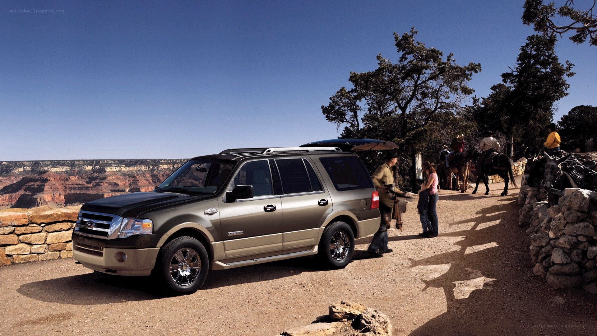 SUV at canyon overlook