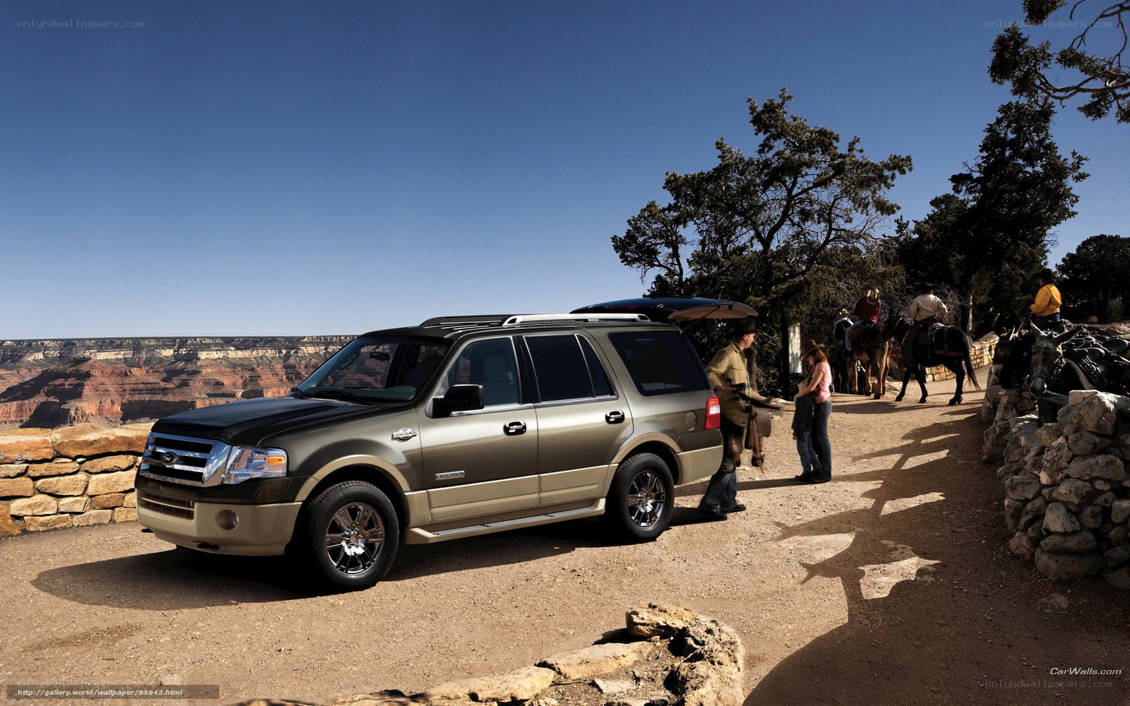 SUV at canyon overlook