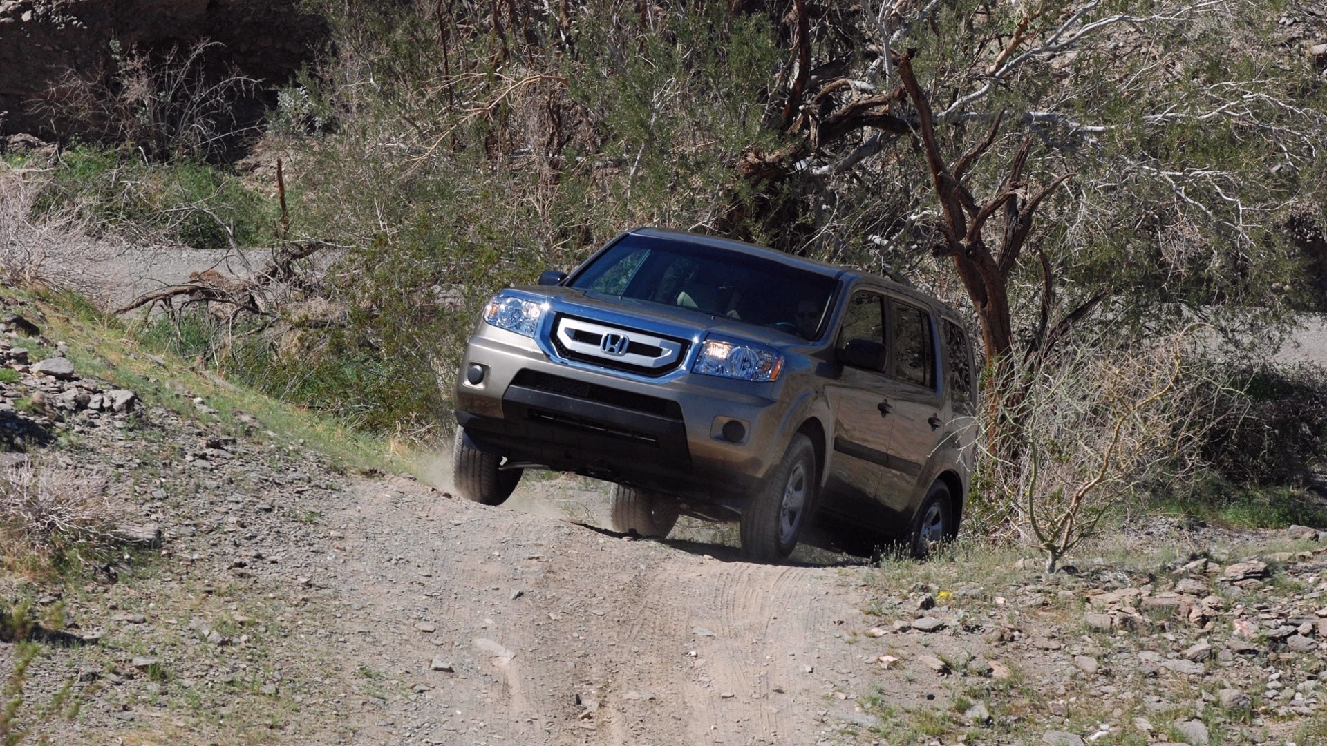 SUV driving on dirt path
