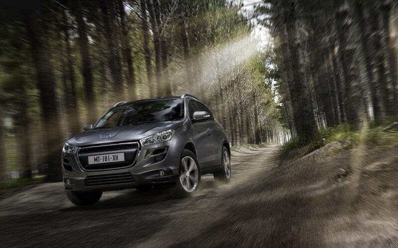 SUV driving on forest path