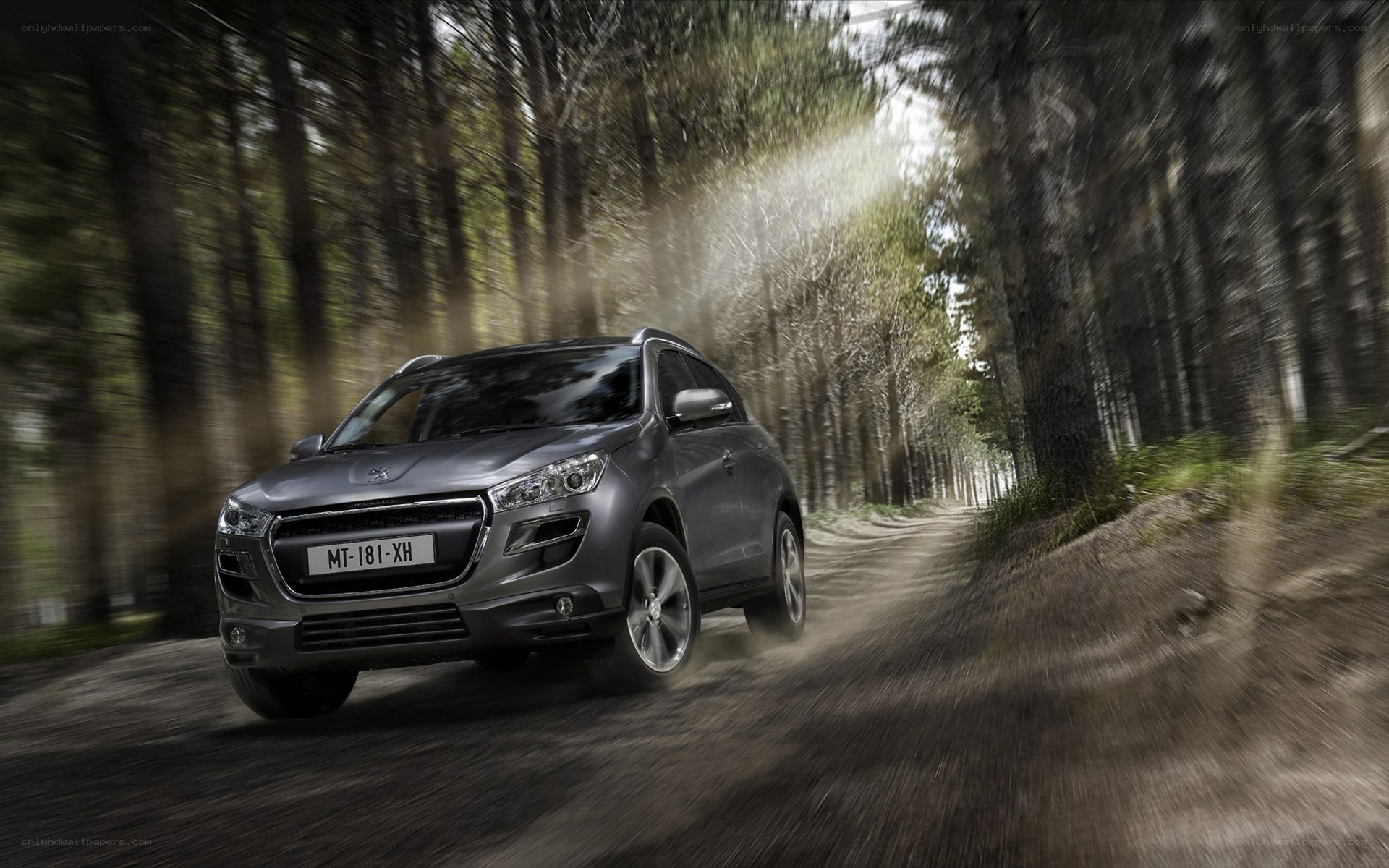 SUV driving on forest path