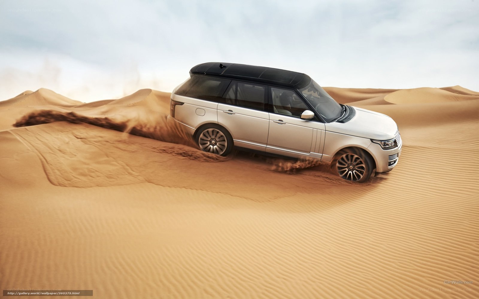 SUV driving on sand dunes