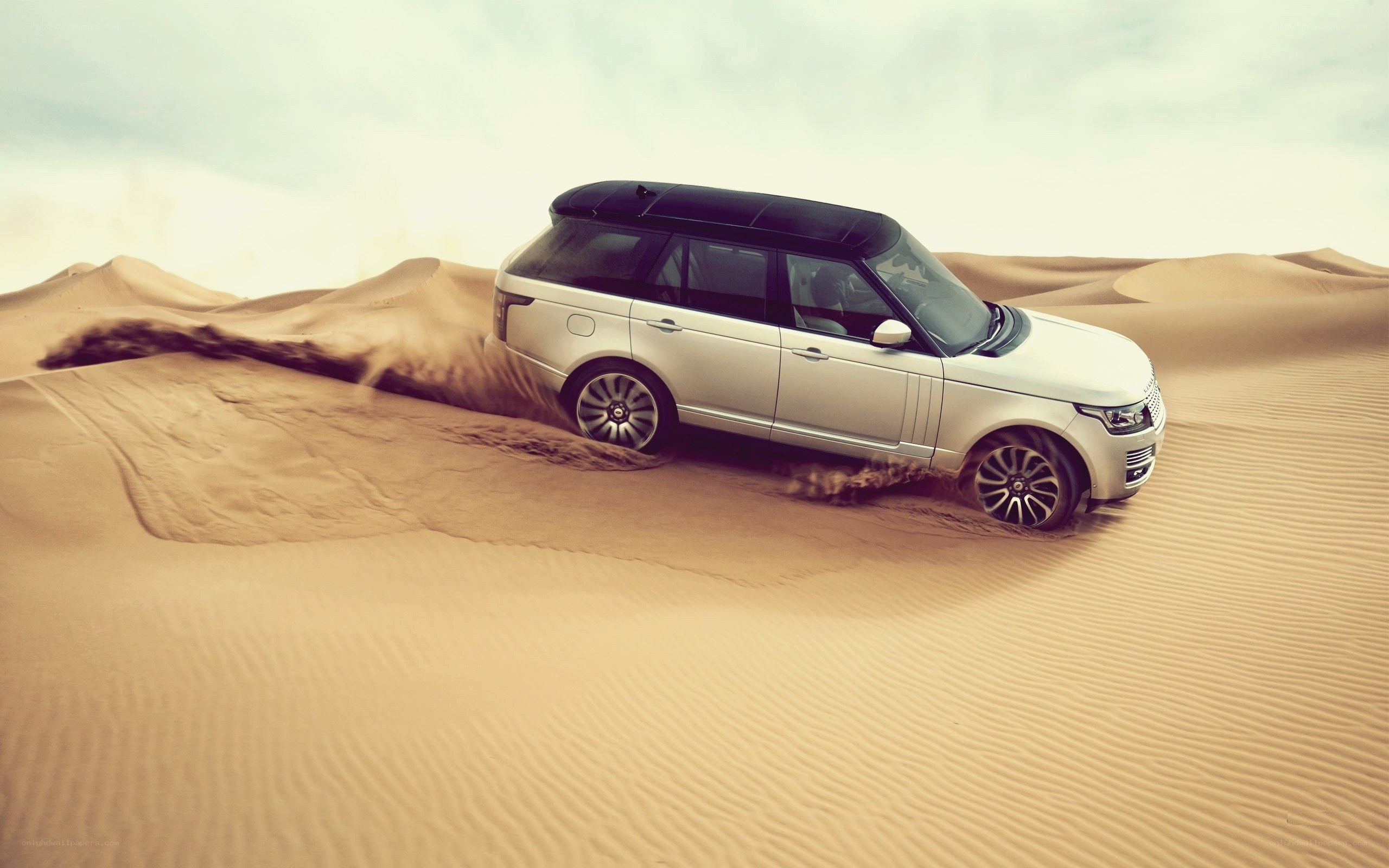 SUV driving on sand dunes