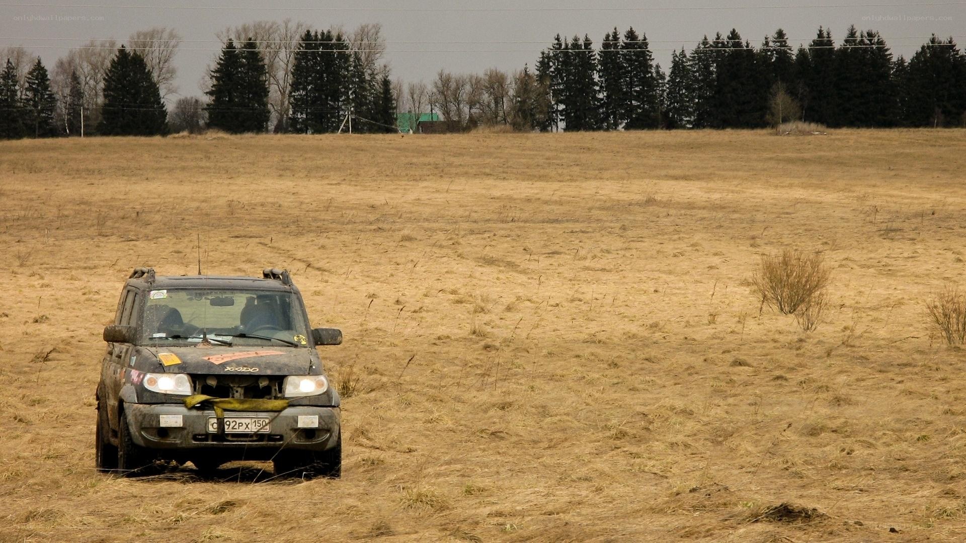 SUV in a dry field